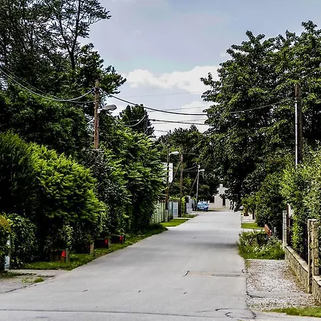 Cesar's Habitación en casa particular Fohrenhain